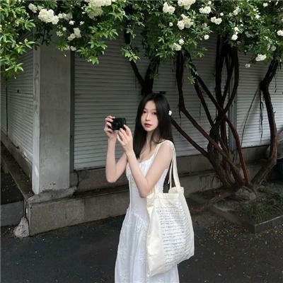父仇者